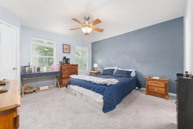 378 Scrub Jay Dr, Saint Augustine, FL 32092 - photo 23