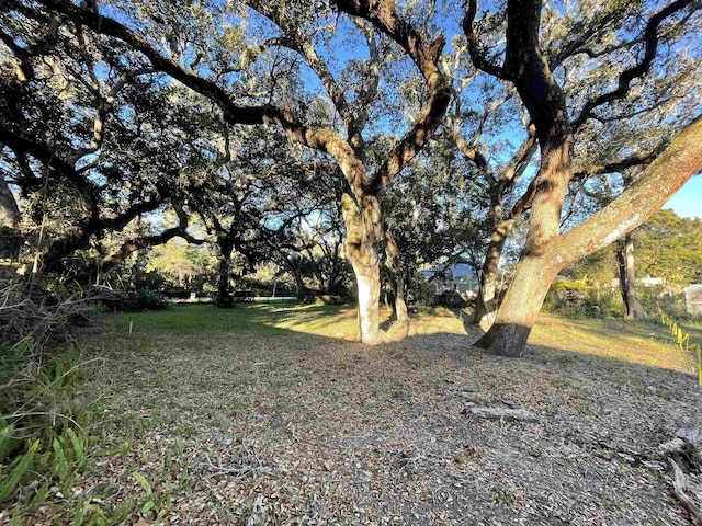 Listing photo 3 for 697 Pope Rd, Saint Augustine Beach FL 32080