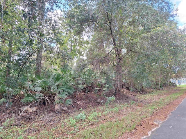 201 Pineway W Ave, Satsuma FL, 32189 land for sale