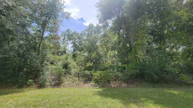 00 S Georgetown Pointe Rd, Georgetown FL, 32139 land for sale