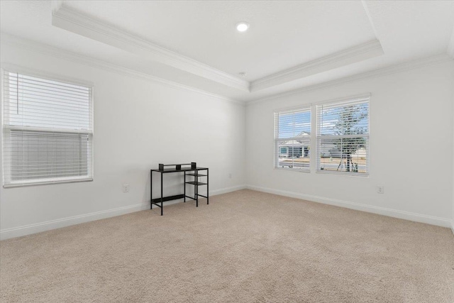 carpeted spare room with crown molding and a raised ceiling