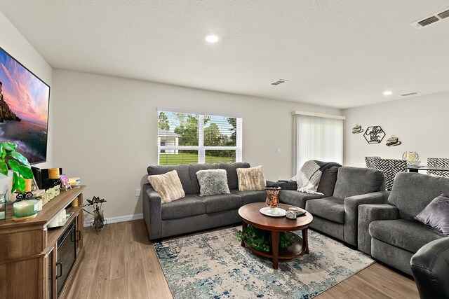 living room featuring light hardwood / wood-style floors