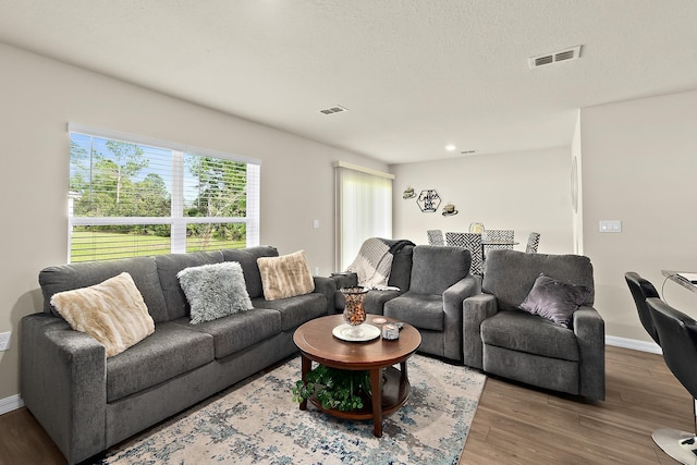 living room featuring wood-type flooring and a textured ceiling