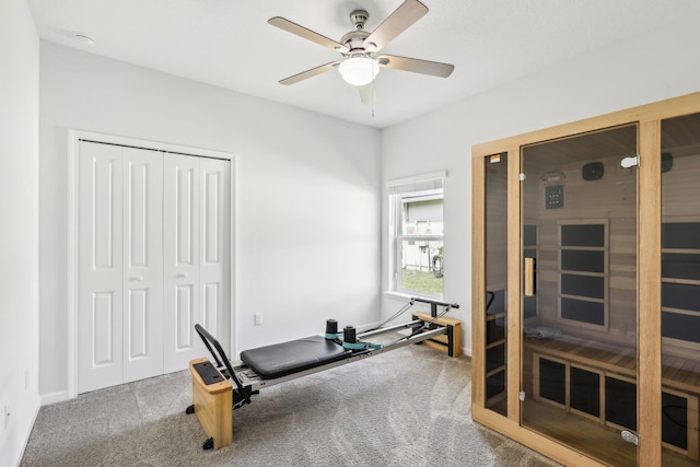 295 Deerfield Meadows Cir, Saint Augustine, FL 32086 - workout room with a relaxing sauna, a ceiling fan, and carpet