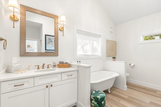 48 Osceola St, Saint Augustine, FL 32084 - full bathroom featuring lofted ceiling, toilet, vanity, a freestanding tub, and wood finished floors