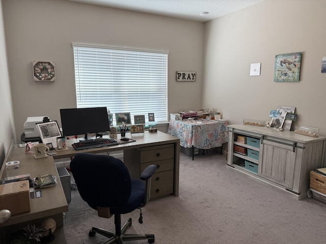 office with a textured ceiling, plenty of natural light, and light colored carpet