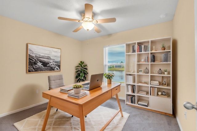 228 Fox Water Trl, Saint Augustine, FL 32086 - photo 31