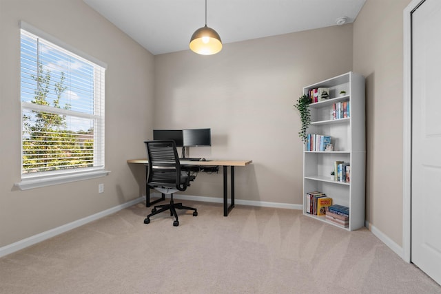 office featuring light carpet