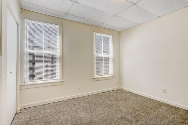 empty room featuring a drop ceiling, a healthy amount of sunlight, and carpet