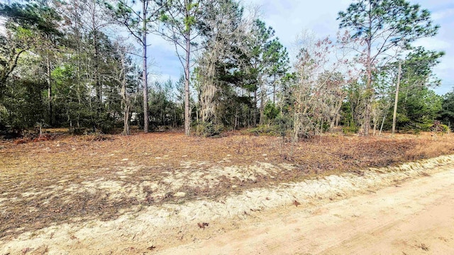 Caribbean St, Interlachen FL, 32148 land for sale