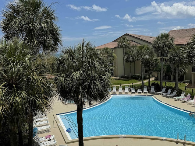 view of swimming pool featuring a patio