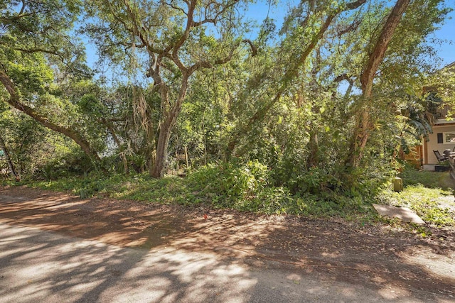 0 Oleander St, Saint Augustine, FL 32080 - photo 4