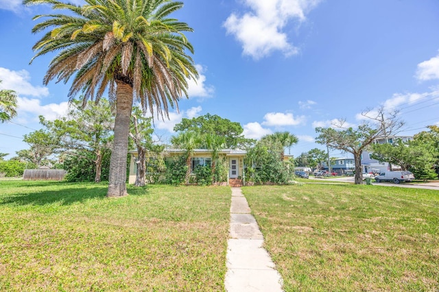 view of front of house with a front yard