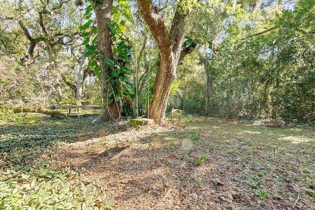 5381 N Oceanshore, Palm Coast, FL 32137 - photo 34