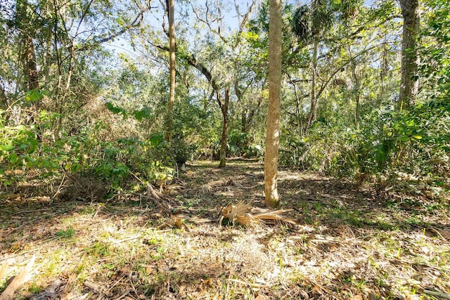 5381 N Oceanshore, Palm Coast, FL 32137 - photo 35
