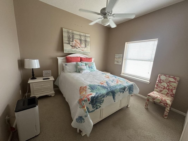 41 Milliken Ln, Saint Augustine, FL 32080 - photo 9