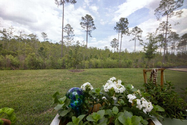 62 Reverie Dr, Palm Coast, FL 32137 - photo 46