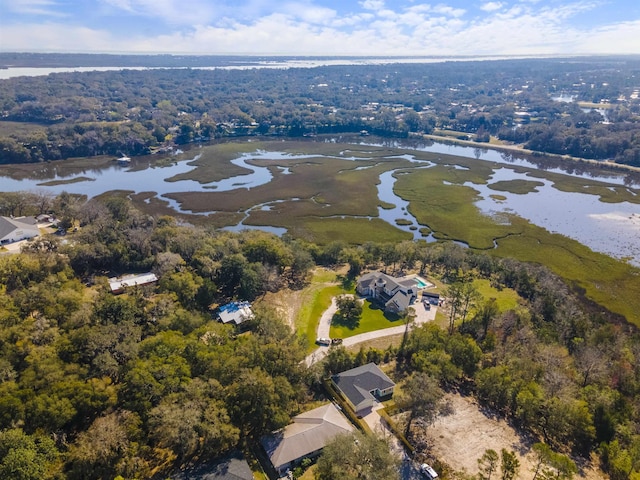 birds eye view of property with a water view and a view of trees