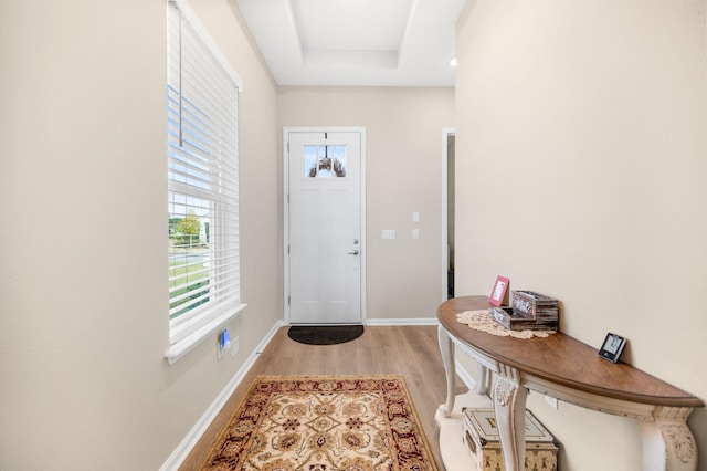 entrance foyer featuring light wood-type flooring and a raised ceiling