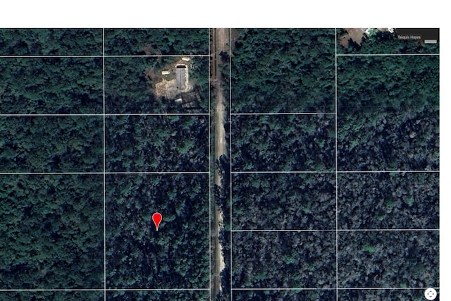 10505 Flikkema Ave, Hastings, FL 32145