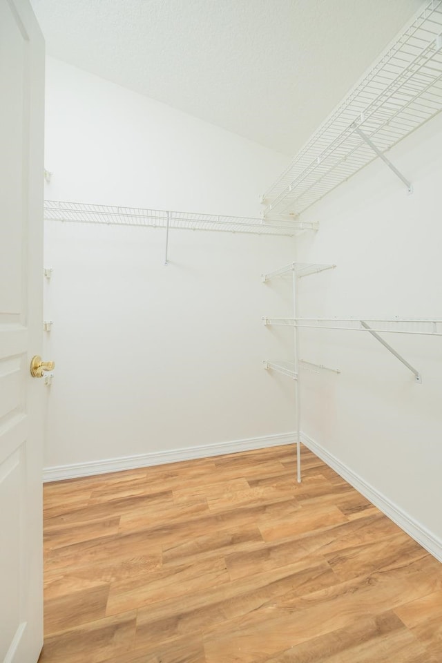 walk in closet featuring light wood finished floors