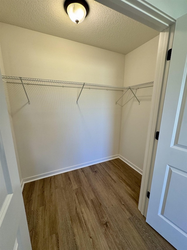 walk in closet with dark wood-style floors