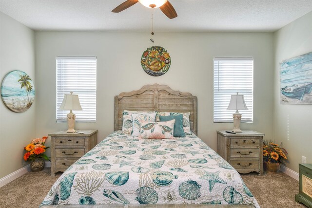 6310 Salado Rd, Saint Augustine, FL 32080 - photo 21