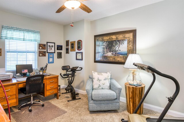 6310 Salado Rd, Saint Augustine, FL 32080 - photo 24