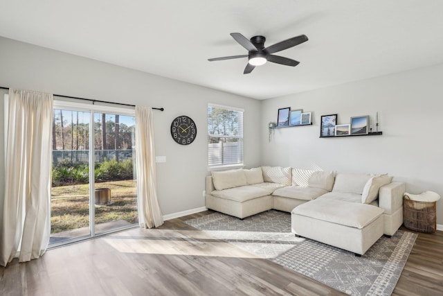 living room with ceiling fan, plenty of natural light, and hardwood / wood-style floors