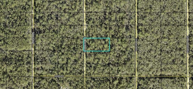 0000 Weatherby Ave, Hastings FL, 32145 land for sale