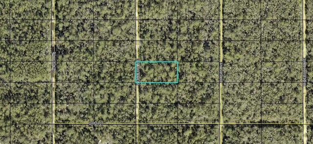 0000 Weatherby Ave, Hastings, FL 32145