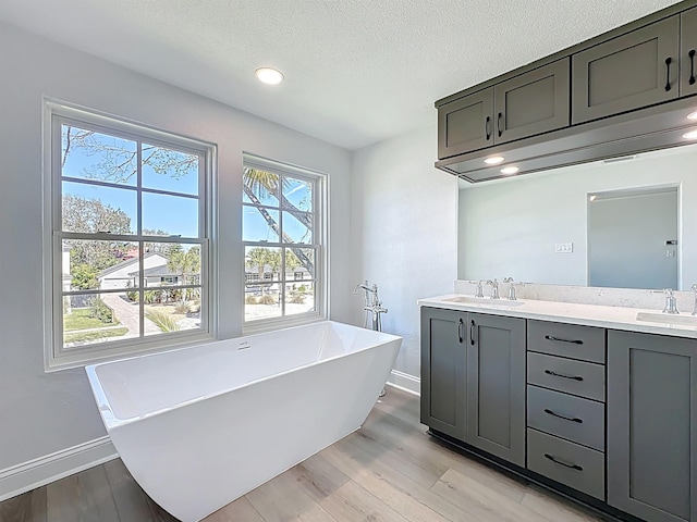 307 Minorca Ave, Saint Augustine, FL 32080 - full bathroom with a freestanding tub, wood finished floors, and a sink