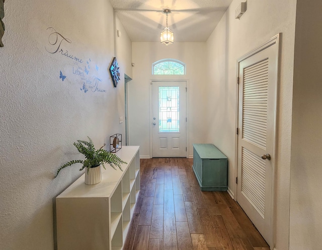 entryway with dark hardwood / wood-style floors