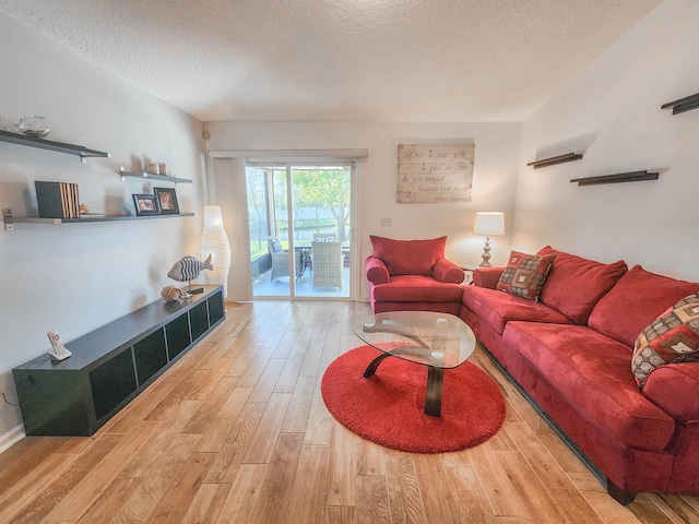 living room with a textured ceiling and hardwood / wood-style flooring