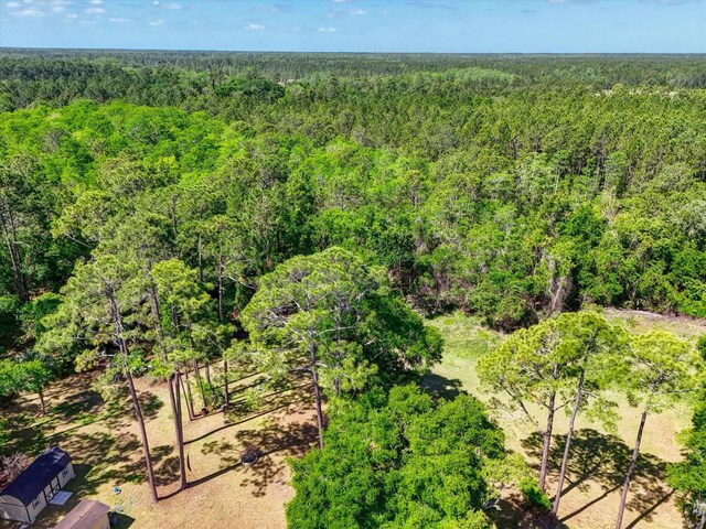 0 Carter Rd, Saint Augustine, FL 32086 - photo 4