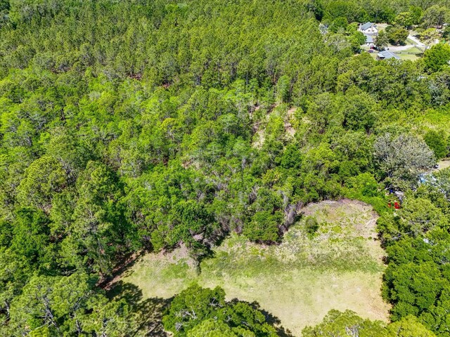 0 Carter Rd, Saint Augustine, FL 32086 - photo 6