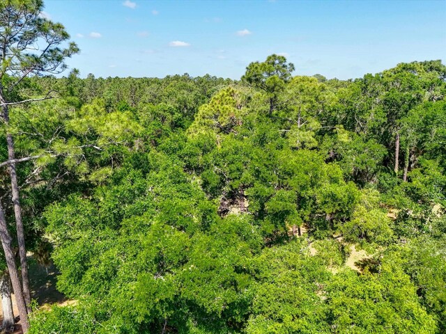 0 Carter Rd, Saint Augustine, FL 32086 - photo 19