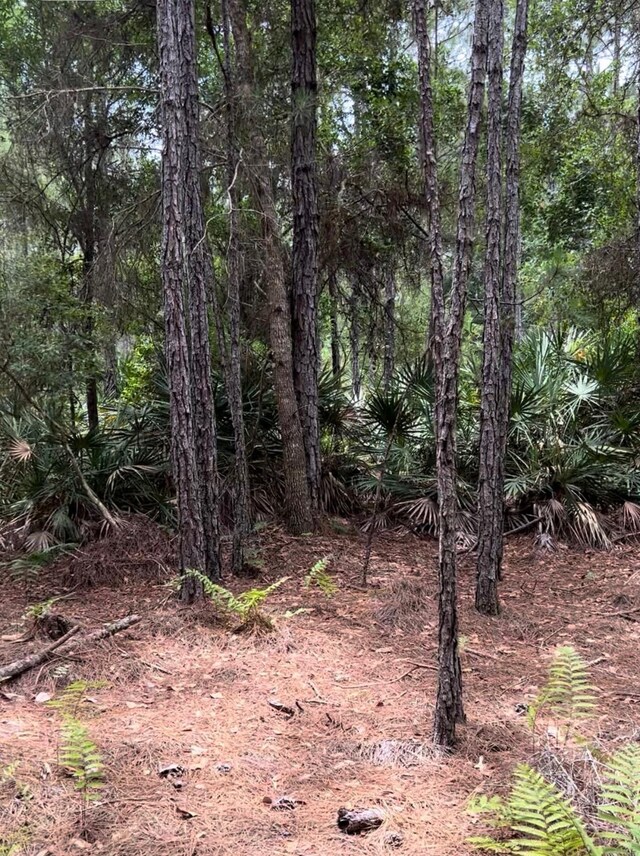 0 Carter Rd, Saint Augustine, FL 32086 - photo 11