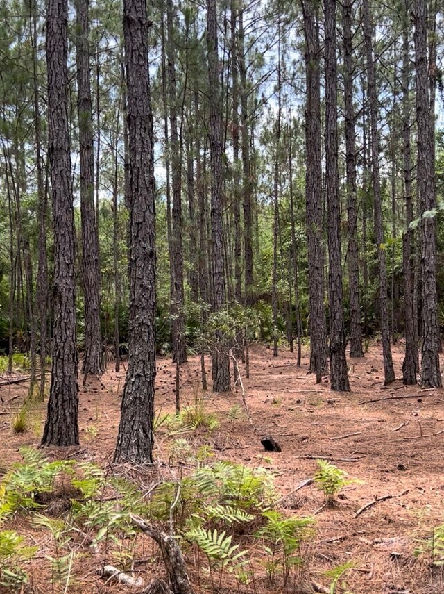 0 Carter Rd, Saint Augustine, FL 32086 - photo 10