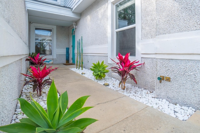 entrance to property with stucco siding