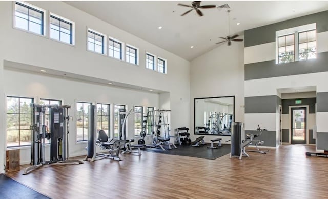 workout area with ceiling fan, a high ceiling, and hardwood / wood-style flooring