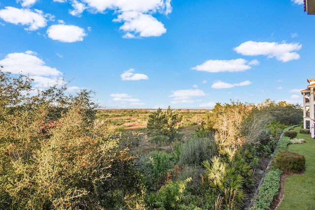 view of local wilderness