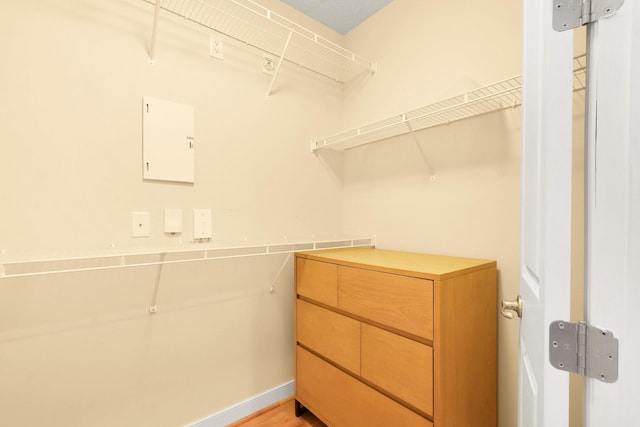 spacious closet with light wood-type flooring