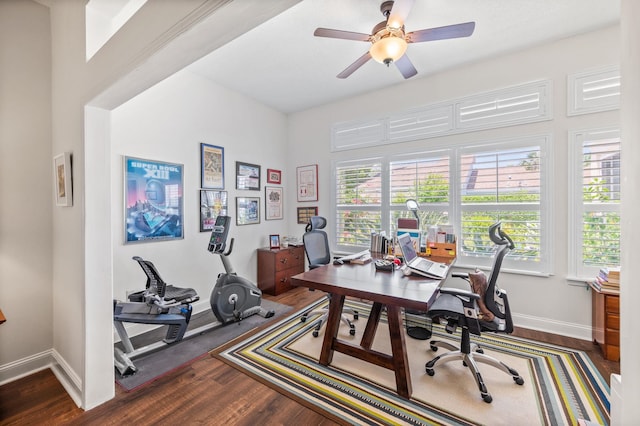 office with dark hardwood / wood-style floors and ceiling fan