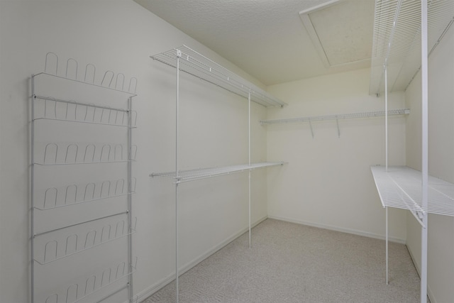 9162 August Cir, Saint Augustine, FL 32080 - walk in closet featuring carpet