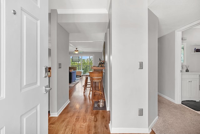 210 16th Street Unit J, Saint Augustine Beach, FL 32080 - hall featuring light wood finished floors and ornamental molding
