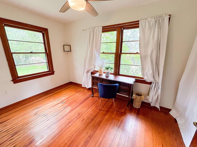 240 Ravenswood Dr, Saint Augustine, FL 32084 - spare room featuring ceiling fan, wood finished floors, and baseboards