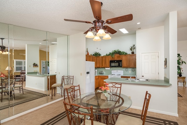 dining space featuring sink, a textured ceiling, light hardwood / wood-style floors, and ceiling fan