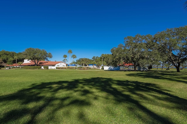 view of property's community with a yard