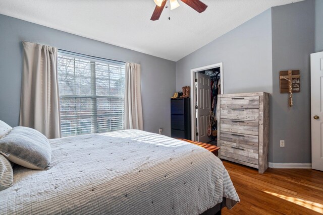 bedroom with lofted ceiling, ceiling fan, hardwood / wood-style floors, a walk in closet, and a closet